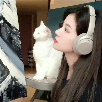 在无爱之森呐喊：深入密森